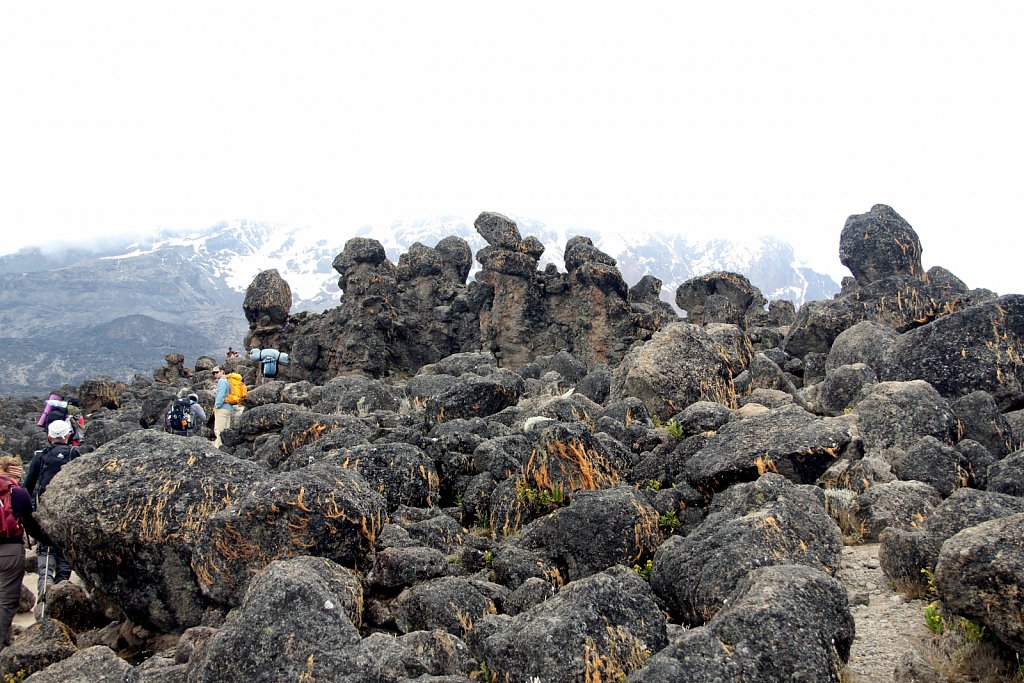 IMG-4739contrast JPG